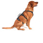 Harnais pour chien Mountain Paws 3-Strap Dog Harness