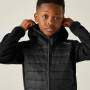 Veste enfant Regatta Kielder Hybrid IX