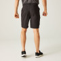 Shorts homme Regatta Dalry Short