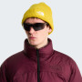 Bonnet The North Face Salty Lined Beanie