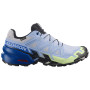 Chaussures de running hommes Salomon Speedcross 6 GTX Icon