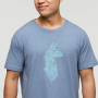 T-shirt homme Cotopaxi Into the Pines T-Shirt