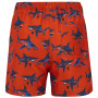 Maillot bain enfant Regatta Skander RusOranShark