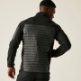 Veste homme Regatta Ceden Hybrid