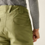 Pantalon homme Dare 2b Baseplate Insulated Pant