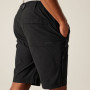 Shorts homme Regatta Highton Shorts Long II
