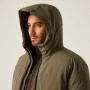 Veste homme Regatta Dallymoore