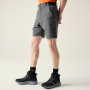 Shorts homme Dare 2b Torrek II Short