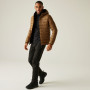 Veste homme Regatta Hooded Marizion