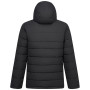 Veste matelassée pour homme Regatta Frankie Padded
