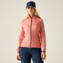 Veste femme Regatta Women’s Andreson Hybrid