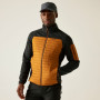 Veste homme Regatta Ceden Hybrid