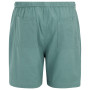 Shorts homme Regatta Hadlin Shorts