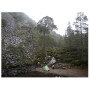 Tente de randonnée Vango Nevis 100