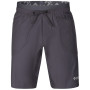 Shorts homme Direct Alpine Solo Shorts 3.0 gris / noir anthracite