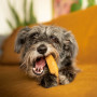 Jouet pour chien Explorer Dog Himalayan Chew