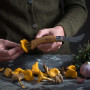 Couteau Opinel VRI N°08 Couteau champignon chêne + étui + coffret bois