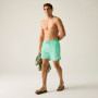 Shorts homme Regatta Mackleyna Swim Short