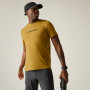 T-shirt homme Regatta Fingal Stretch