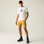 Shorts homme Regatta Anti-Insect Travel Light Shorts