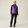 Veste de plein air pour femme Dare 2b Womens Aerofse Padded Hybrid Jacket