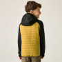 Veste enfant Regatta Junior Andreson Hybrid BlkWdBrown