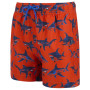 Maillot bain enfant Regatta Skander RusOranShark