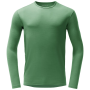 Taille: L / Couleur: vert