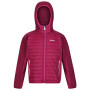 Veste enfant Regatta Kielder Hybrid V 2021 rose Fuchsia/Rasp
