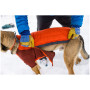 Vêtement pour chien Ruffwear Powder Hound Jacket