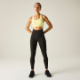Soutien-gorge sport Dare 2b Dont SweatIt II Bra