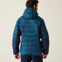 Veste homme Regatta Hooded Dalent