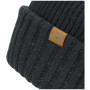 Casquette imperméable SealSkinz WP Cold Wthr Roll Cuff Beanie