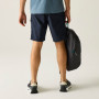 Shorts homme Regatta Arlery Shorts