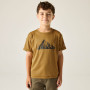 T-shirt enfant Regatta Alvarado Wood Brown