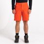 Short homme Dare 2b Tuned In II Short 2023