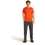 T-shirt homme Icebreaker Men Merino 150 Tech Lite Bear Tour