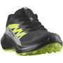 Chaussures de running hommes Salomon Alphaglide Gore-Tex