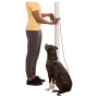 Laisse pour chien Ruffwear Hitch Hiker™ Leash