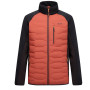 Taille: L / Couleur: orange / noir
