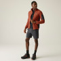 Sweat-shirt homme Regatta Baslinn