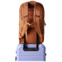 Sac à dos Cotopaxi Allpa 26L Daypack