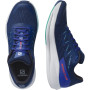 Chaussures de running hommes Salomon Spectur