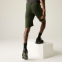 Shorts homme Regatta Highton Shorts Long II
