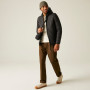 Veste homme Regatta Rigain