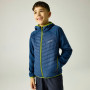 Veste enfant Regatta Junior Andreson Hybrid Aviator Blue