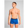 Caleçon homme Puma Everyday Trunk 2P