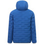 Veste matelassée pour homme Regatta Astrel