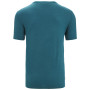 T-shirt fonctionnel homme Icebreaker Men Tech Lite II SS Tee Cadence Paths