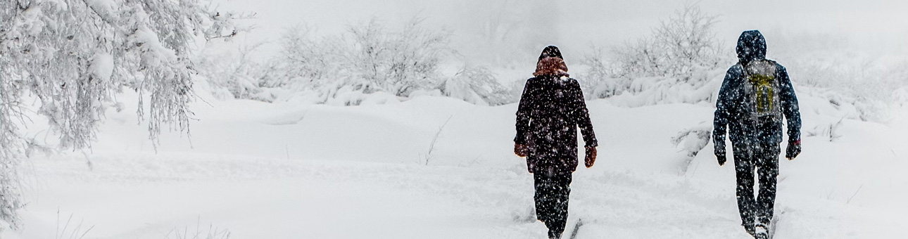BON DE RÉDUCTION -10% pour Dare 2b